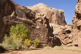 Horseshoe Canyon