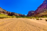 Horseshoe Canyon