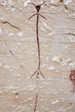 Horseshoe Gallery