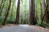 Mattole Road