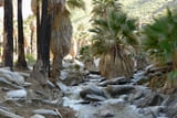 Photos/Images de Indian Canyons