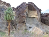 Murray Canyon