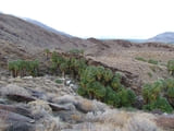 Murray Canyon