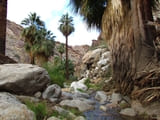 Murray Canyon