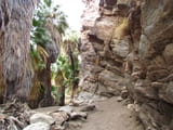 Murray Canyon