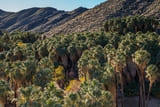 Photos/Images de Indian Canyons