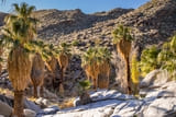 Photos/Images de Indian Canyons