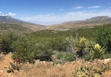 Victor Trail