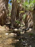 Andreas Canyon