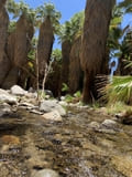Andreas Canyon