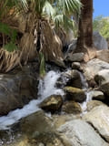 Andreas Canyon