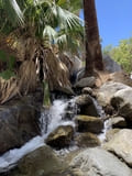 Andreas Canyon