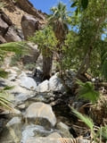 Andreas Canyon