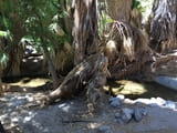 Andreas Canyon