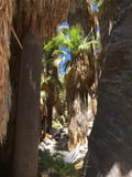 Andreas Canyon
