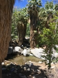 Andreas Canyon