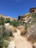 Andreas Canyon