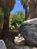 Andreas Canyon