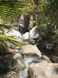 Andreas Canyon