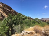 Andreas Canyon