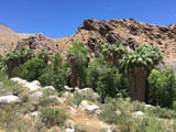 Andreas Canyon