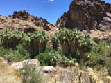 Andreas Canyon