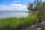 Black Point