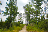 Black Point Trail