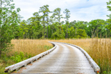 Island Loop Drive