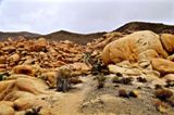 Arch Rock Trail