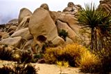 Skull Rock