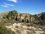 Sur le chemin de Mastodon Peak