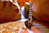 Photos/Images de Kanarra Creek