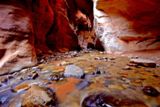Photos/Images de Kanarra Creek
