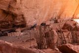 Photos/Images de Kane Gulch