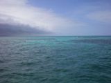 Barrière de corail - Key Largo