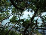 Key Largo