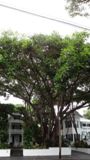 Key West