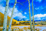 Photos/Images de La Sal Mountain Loop Road