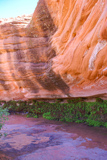 Hanging Gardens Trail