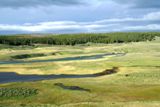 Hayden Valley