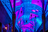 Photos/Images de Downtown Las Vegas