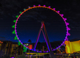 High Roller