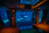 Shark Reef Aquarium