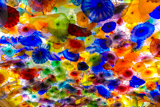 Fiori di Como