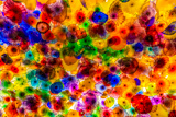 Fiori di Como