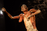 Bodies... The Exhibition