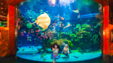 Silverton Aquarium