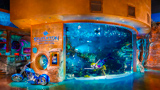 Silverton Aquarium