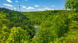 Lynn Overlook